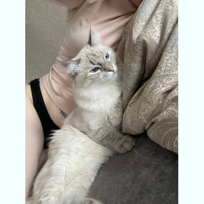 ���� ���������� ��� ��������� ������� 